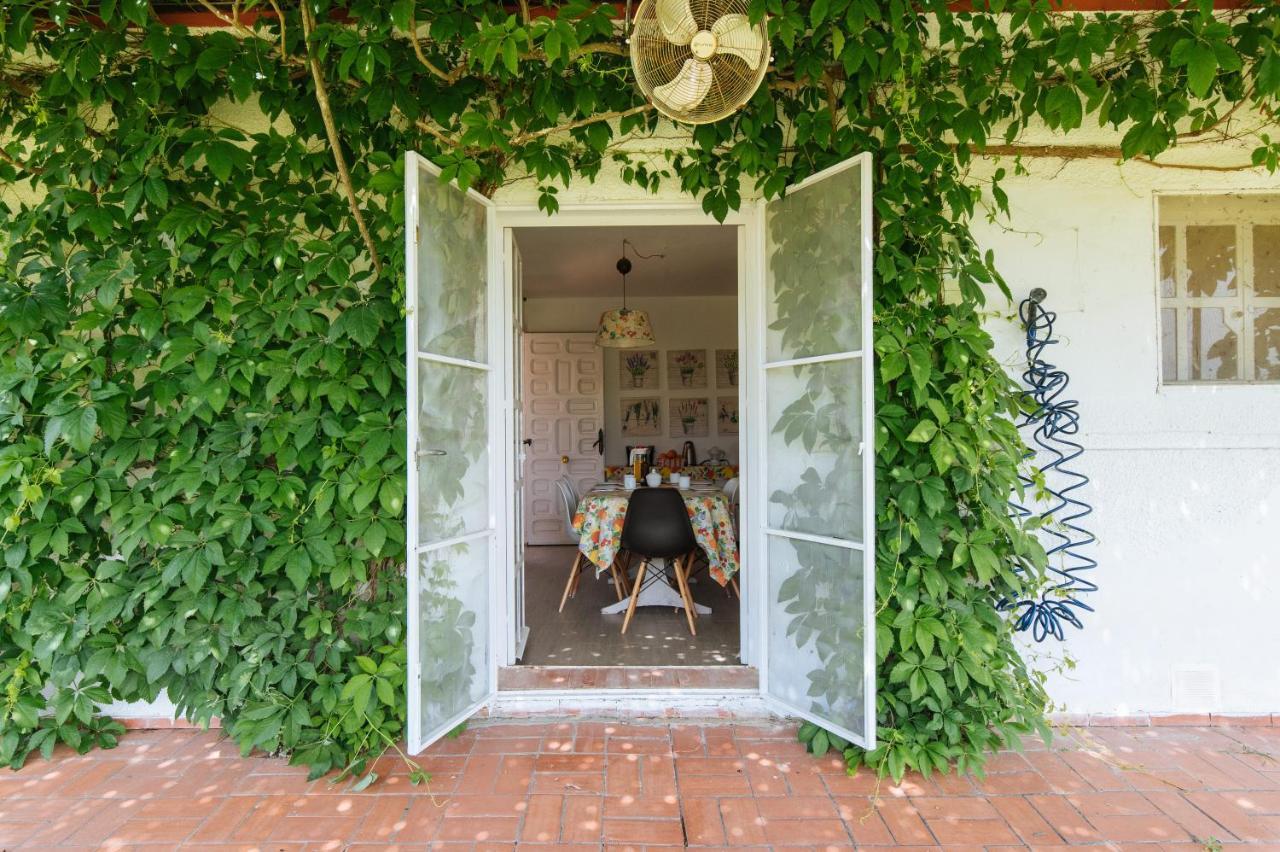 La Casita De Hato Pinos, Un Rincon En Donana Aznalcázar Buitenkant foto